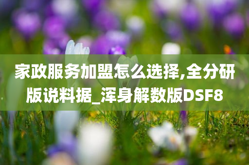 家政服务加盟怎么选择,全分研版说料据_浑身解数版DSF8