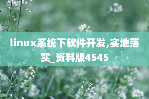 linux系统下软件开发,实地落实_资料版4545