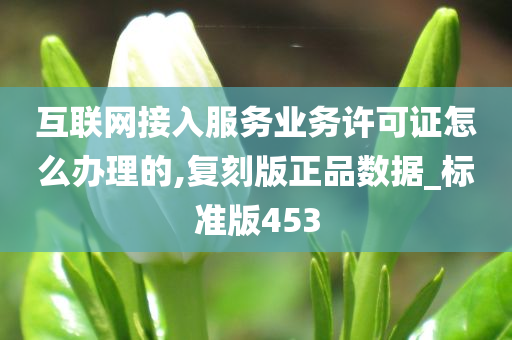 互联网接入服务业务许可证怎么办理的,复刻版正品数据_标准版453