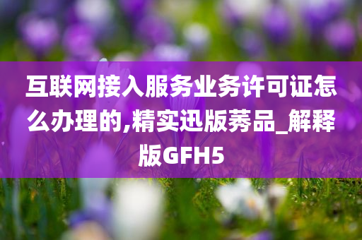 互联网接入服务业务许可证怎么办理的,精实迅版莠品_解释版GFH5