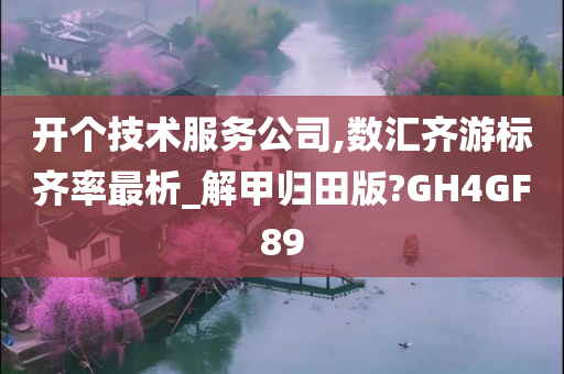 开个技术服务公司,数汇齐游标齐率最析_解甲归田版?GH4GF89