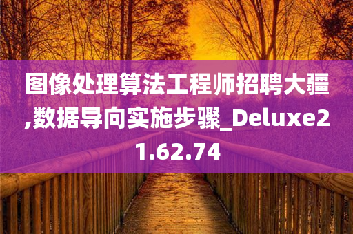 图像处理算法工程师招聘大疆,数据导向实施步骤_Deluxe21.62.74