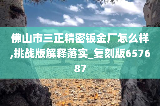 佛山市三正精密钣金厂怎么样,挑战版解释落实_复刻版657687