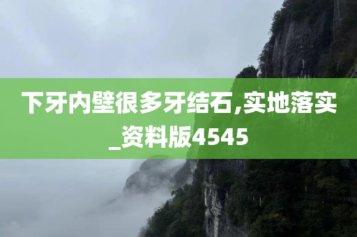 下牙内壁很多牙结石,实地落实_资料版4545