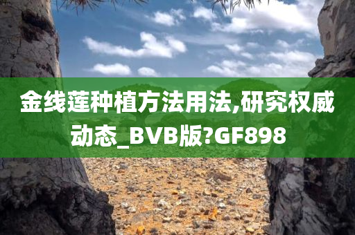 金线莲种植方法用法,研究权威动态_BVB版?GF898