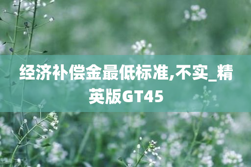 经济补偿金最低标准,不实_精英版GT45