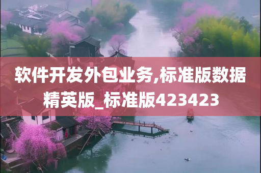 软件开发外包业务,标准版数据精英版_标准版423423