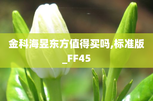 金科海昱东方值得买吗,标准版_FF45