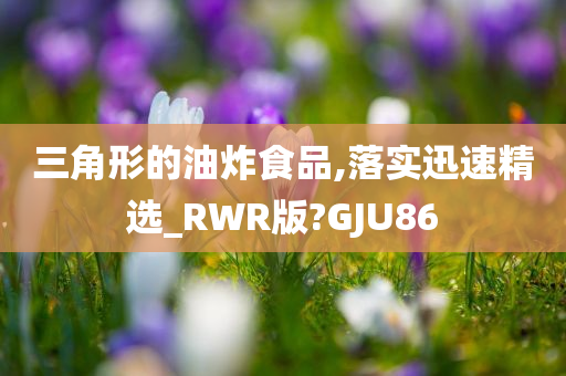 三角形的油炸食品,落实迅速精选_RWR版?GJU86