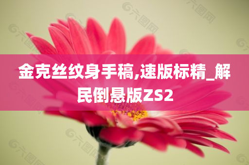 金克丝纹身手稿,速版标精_解民倒悬版ZS2