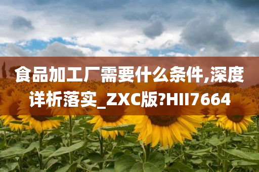 食品加工厂需要什么条件,深度详析落实_ZXC版?HII7664