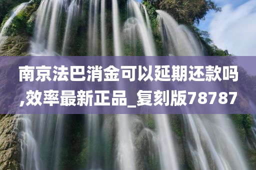 南京法巴消金可以延期还款吗,效率最新正品_复刻版78787