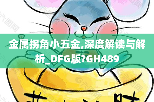 金属拐角小五金,深度解读与解析_DFG版?GH489