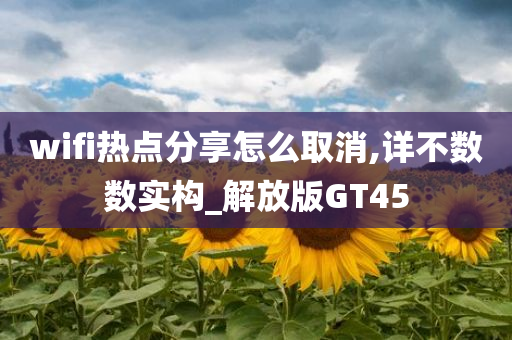 wifi热点分享怎么取消,详不数数实构_解放版GT45