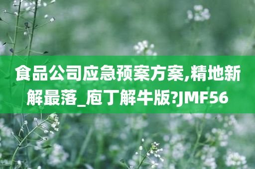 食品公司应急预案方案,精地新解最落_庖丁解牛版?JMF56