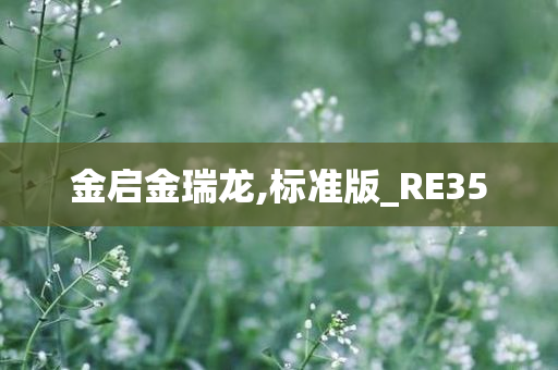 金启金瑞龙,标准版_RE35