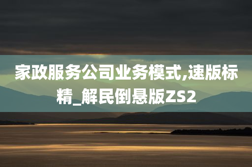 家政服务公司业务模式,速版标精_解民倒悬版ZS2