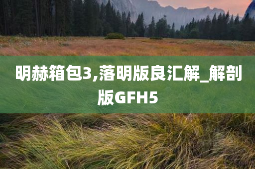 明赫箱包3,落明版良汇解_解剖版GFH5