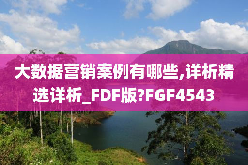 大数据营销案例有哪些,详析精选详析_FDF版?FGF4543