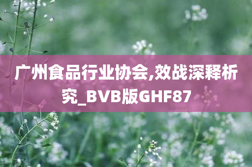 广州食品行业协会,效战深释析究_BVB版GHF87