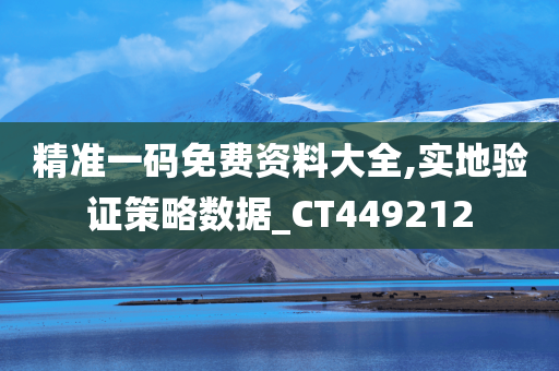 精准一码免费资料大全,实地验证策略数据_CT449212