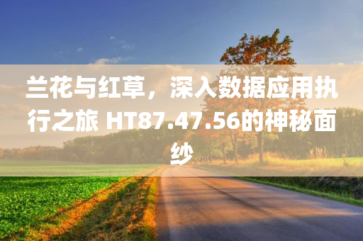 兰花与红草，深入数据应用执行之旅 HT87.47.56的神秘面纱