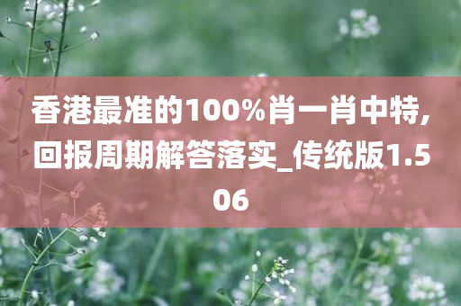 香港最准的100%肖一肖中特,回报周期解答落实_传统版1.506