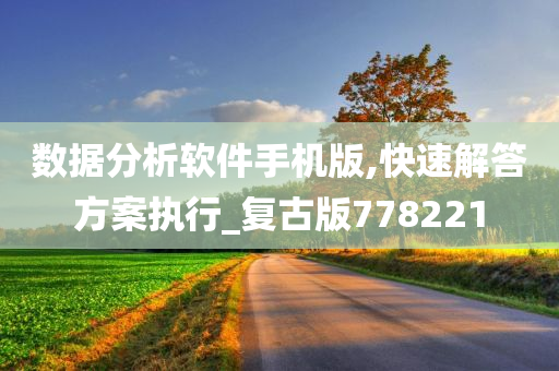 数据分析软件手机版,快速解答方案执行_复古版778221