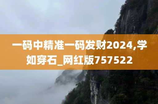 一码中精准一码发财2024,学如穿石_网红版757522