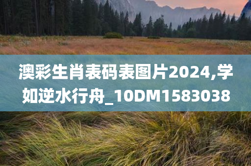 澳彩生肖表码表图片2024,学如逆水行舟_10DM1583038