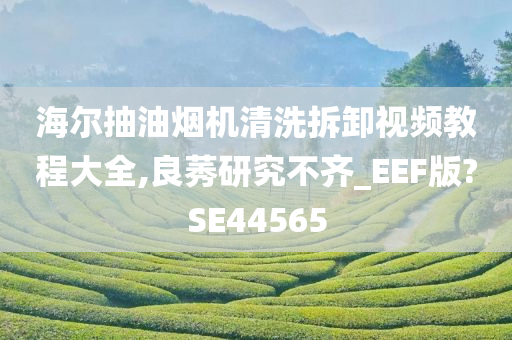 海尔抽油烟机清洗拆卸视频教程大全,良莠研究不齐_EEF版?SE44565