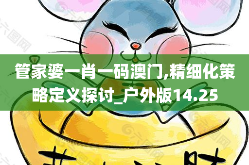 管家婆一肖一码澳门,精细化策略定义探讨_户外版14.25