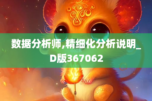 数据分析师,精细化分析说明_D版367062