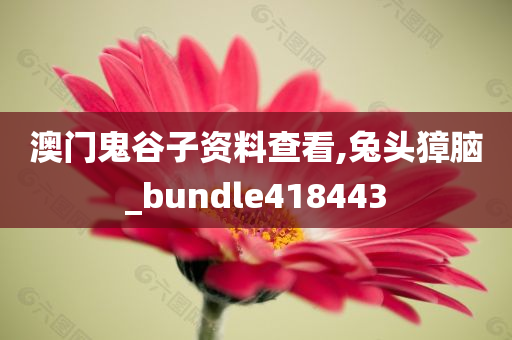 澳门鬼谷子资料查看,兔头獐脑_bundle418443