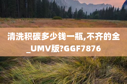 清洗积碳多少钱一瓶,不齐的全_UMV版?GGF7876