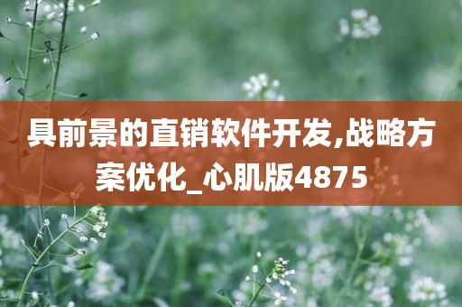 具前景的直销软件开发,战略方案优化_心肌版4875