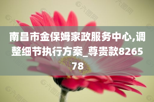 南昌市金保姆家政服务中心,调整细节执行方案_尊贵款826578