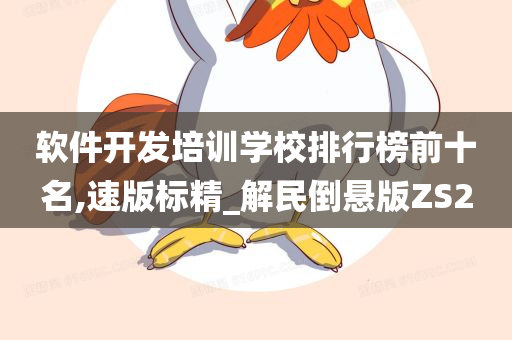 软件开发培训学校排行榜前十名,速版标精_解民倒悬版ZS2