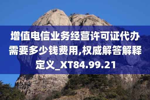 增值电信业务经营许可证代办需要多少钱费用,权威解答解释定义_XT84.99.21