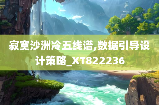 寂寞沙洲冷五线谱,数据引导设计策略_XT822236