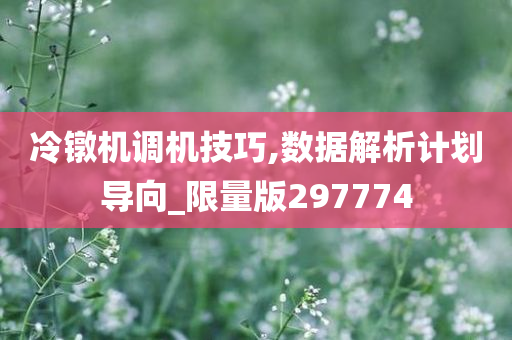 冷镦机调机技巧,数据解析计划导向_限量版297774