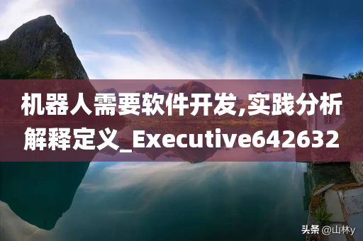 机器人需要软件开发,实践分析解释定义_Executive642632