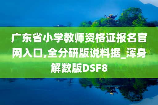 广东省小学教师资格证报名官网入口,全分研版说料据_浑身解数版DSF8