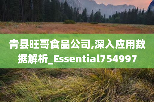 青县旺哥食品公司,深入应用数据解析_Essential754997