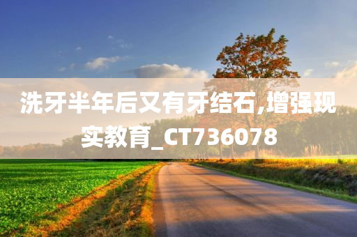 洗牙半年后又有牙结石,增强现实教育_CT736078