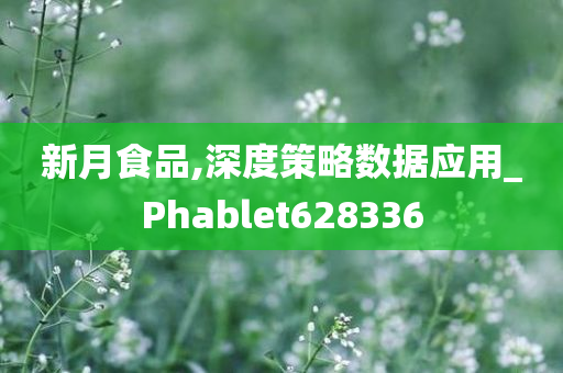 新月食品,深度策略数据应用_Phablet628336