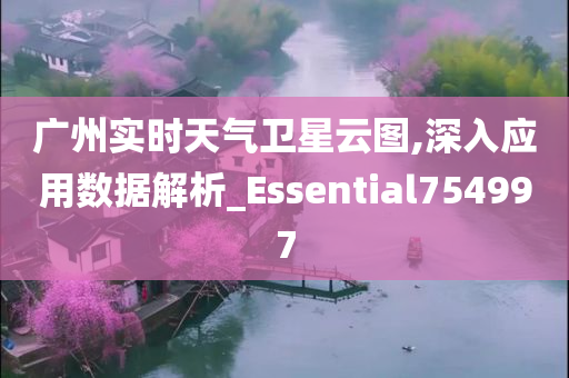 广州实时天气卫星云图,深入应用数据解析_Essential754997