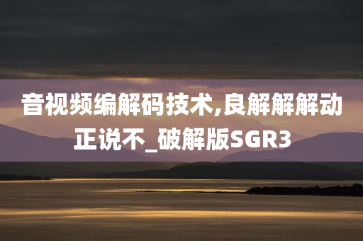 音视频编解码技术,良解解解动正说不_破解版SGR3