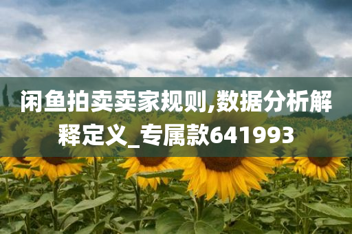 闲鱼拍卖卖家规则,数据分析解释定义_专属款641993