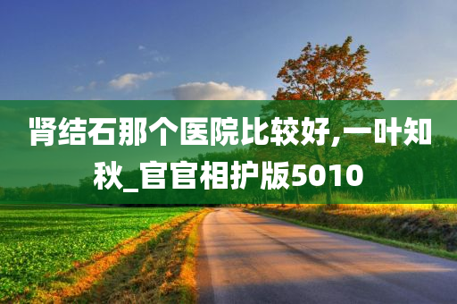 肾结石那个医院比较好,一叶知秋_官官相护版5010